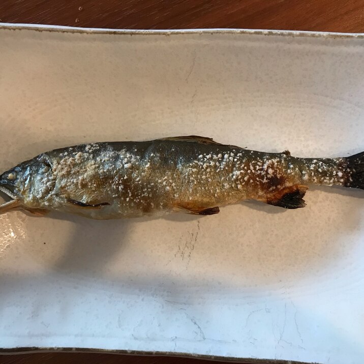 子持ちあゆの塩焼き レシピ 作り方 By ごるづきっちん 楽天レシピ 子持ちあゆの塩焼き レシピ 作り方 By ごるづきっちん 楽天レシピ